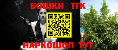 гашик Новозыбков