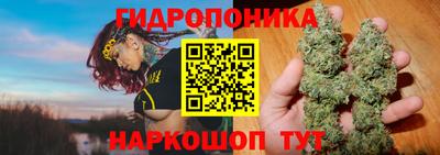 соль ск Новокубанск