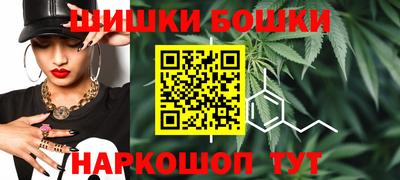гашик Новозыбков