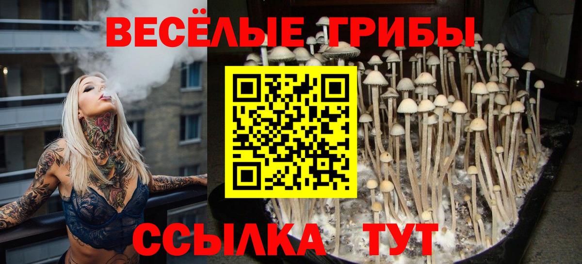 Псилоцибиновые грибы мухоморы Светлоград