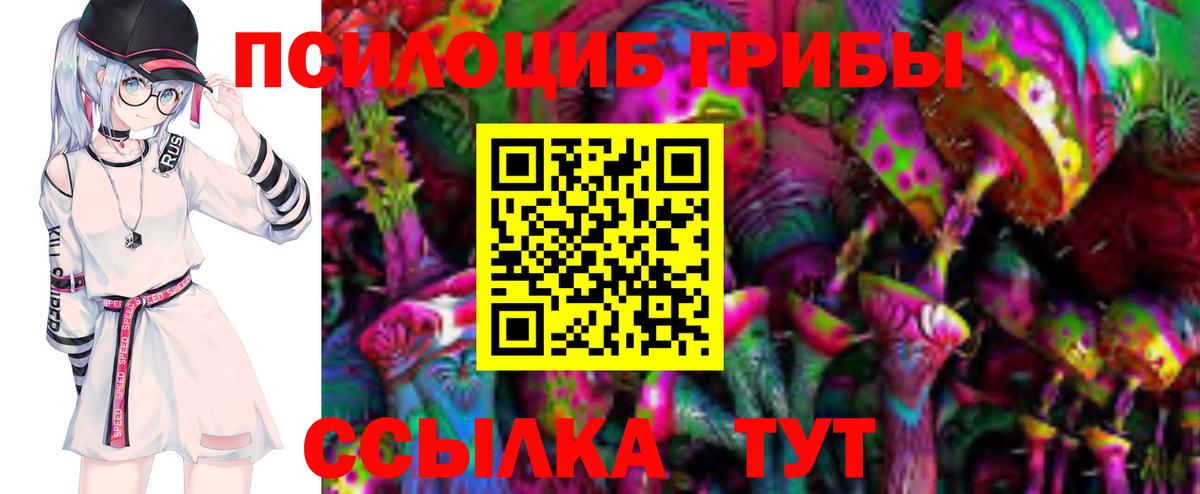 Галлюциногенные грибы мицелий  Вход с VPN  Светлоград 