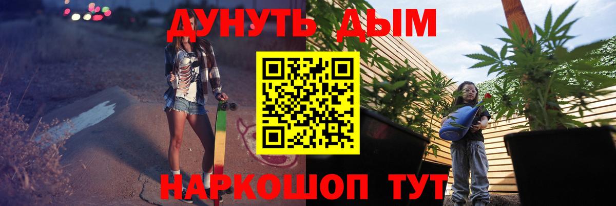 Бошки марихуана OG Kush Светлоград